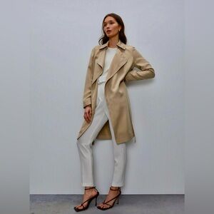 Aritzia Maximo Trench